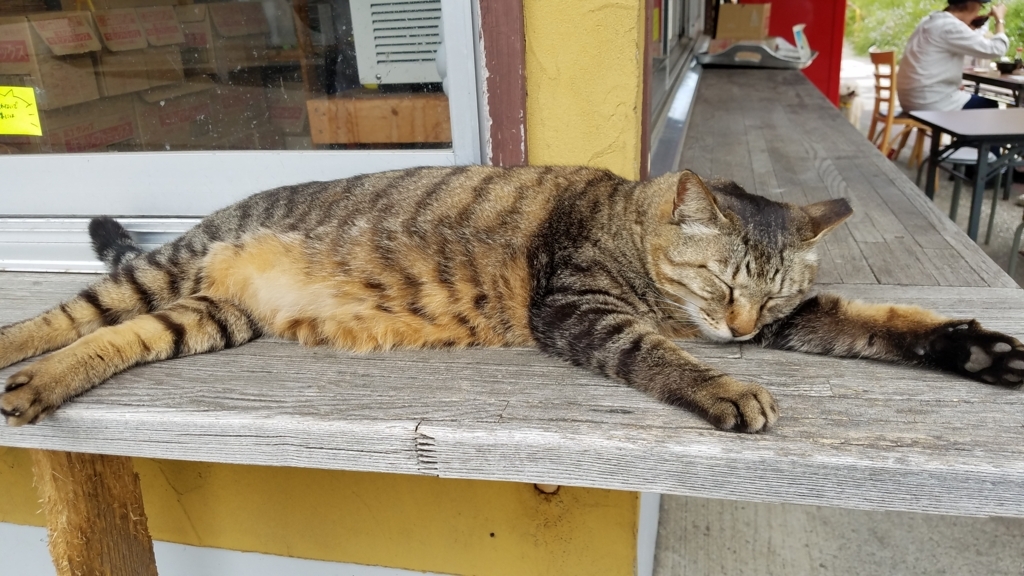 f:id:burakomi:20180728090239j:plain f:id:burakomi:20180728090239j:plain