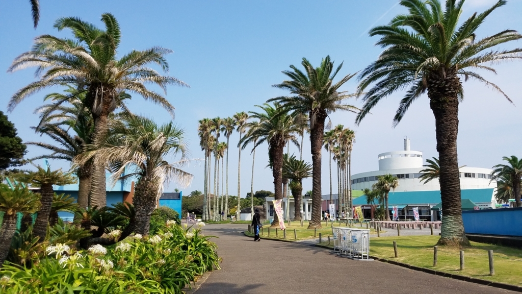f:id:burakomi:20180818123030j:plain