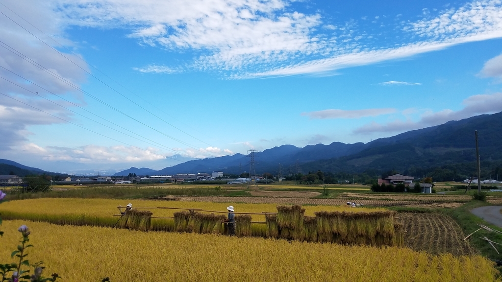 f:id:burakomi:20181106211352j:plain f:id:burakomi:20181106211352j:plain