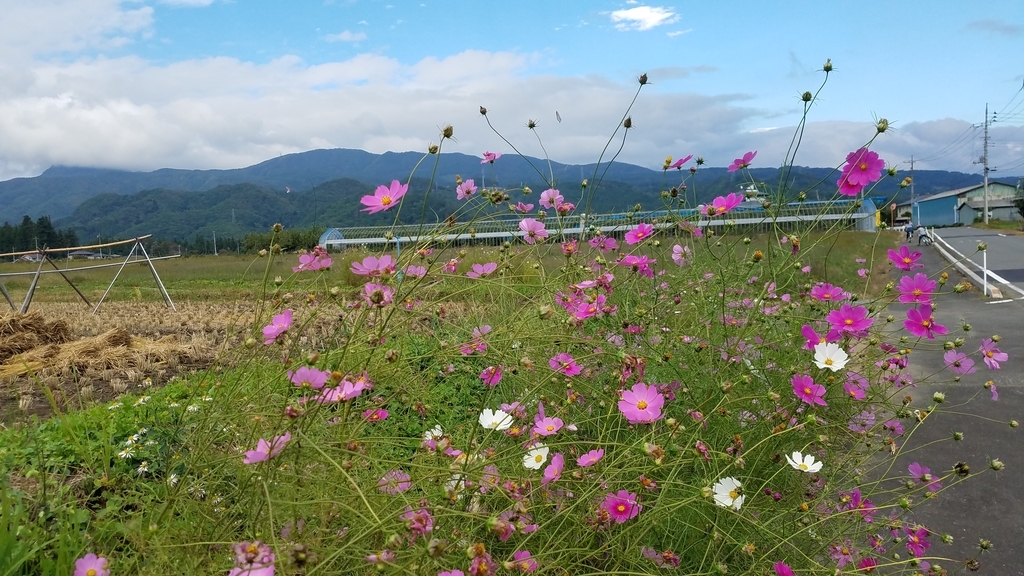 f:id:burakomi:20181106211607j:plain f:id:burakomi:20181106211607j:plain