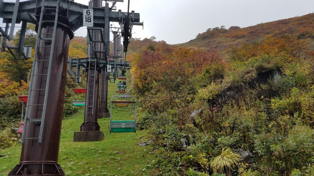 f:id:burakomi:20181106215633j:plain