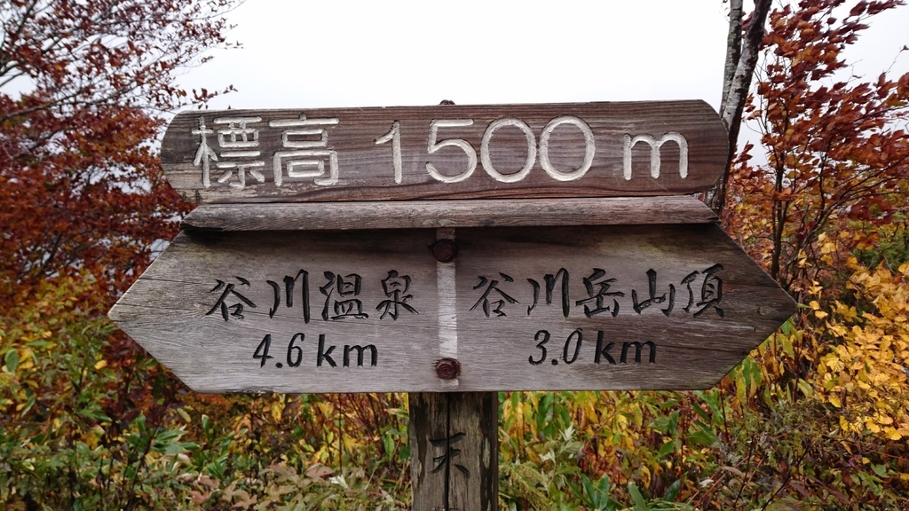 f:id:burakomi:20181106215846j:plain