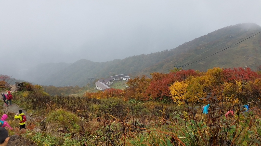 f:id:burakomi:20181106220141j:plain