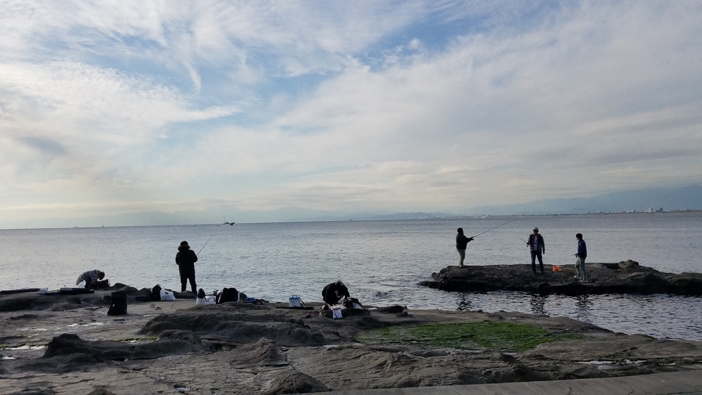 f:id:burakomi:20190114151559j:plain