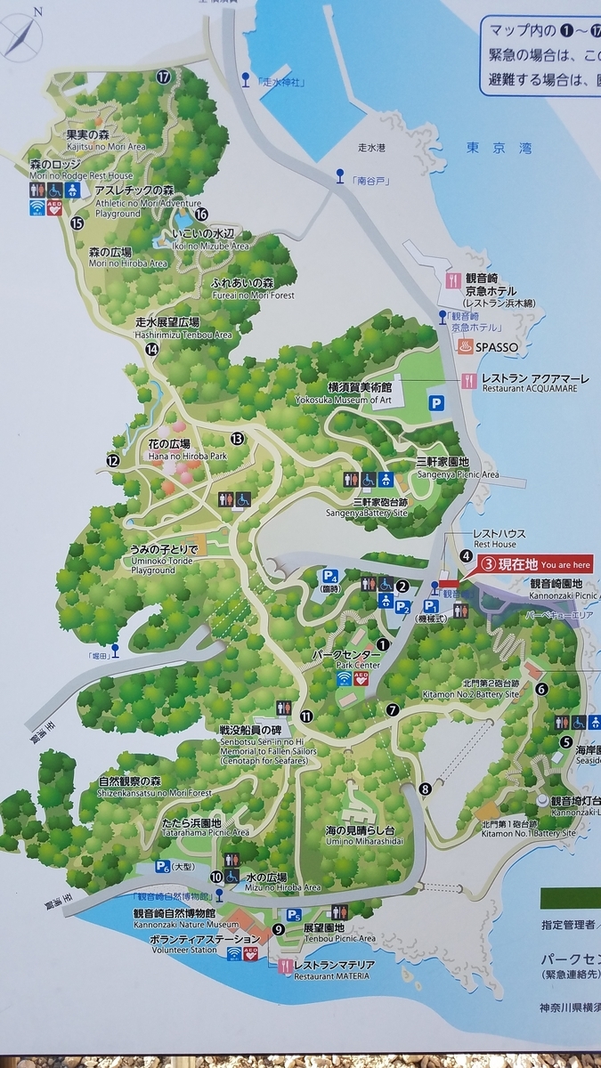 f:id:burakomi:20200321220250j:plain