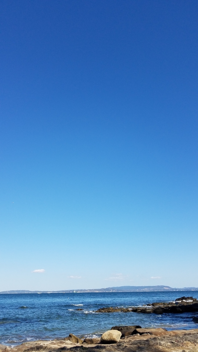 f:id:burakomi:20200321222420j:plain