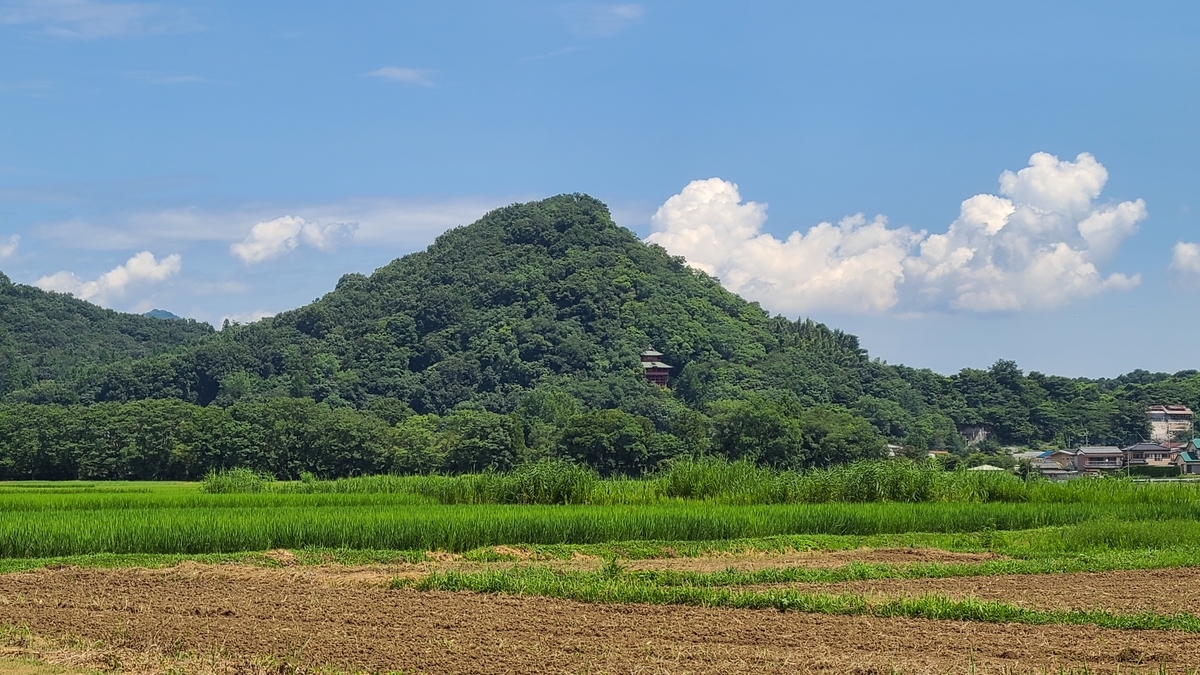f:id:burakomi:20200815095322j:plain