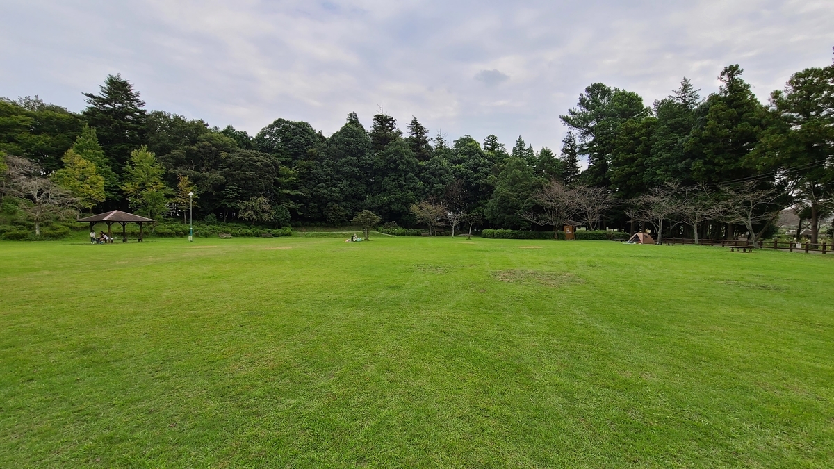 f:id:burakomi:20201004131836j:plain