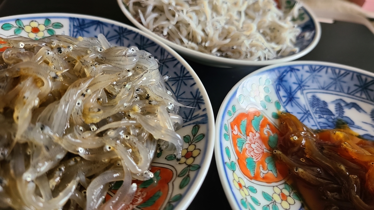 f:id:burakomi:20201018214540j:plain