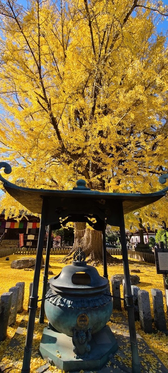 f:id:burakomi:20201123133845j:plain