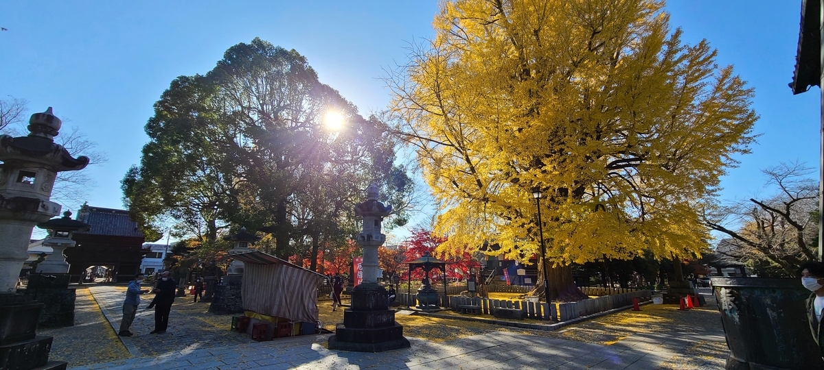 f:id:burakomi:20201123133944j:plain