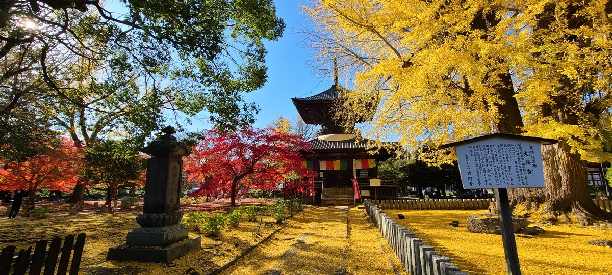 f:id:burakomi:20201123134017j:plain