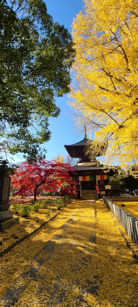 f:id:burakomi:20201123134139j:plain