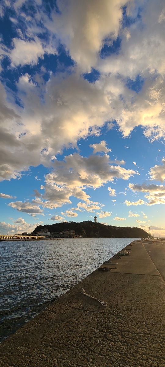 f:id:burakomi:20201218221348j:plain