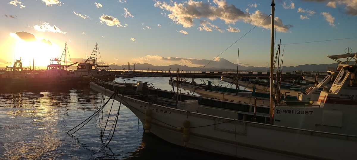 f:id:burakomi:20201218221432j:plain
