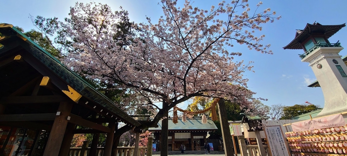 f:id:burakomi:20210327165234j:plain