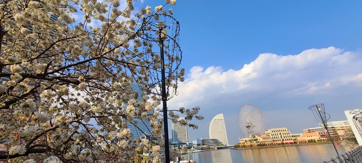 f:id:burakomi:20210404002031j:plain
