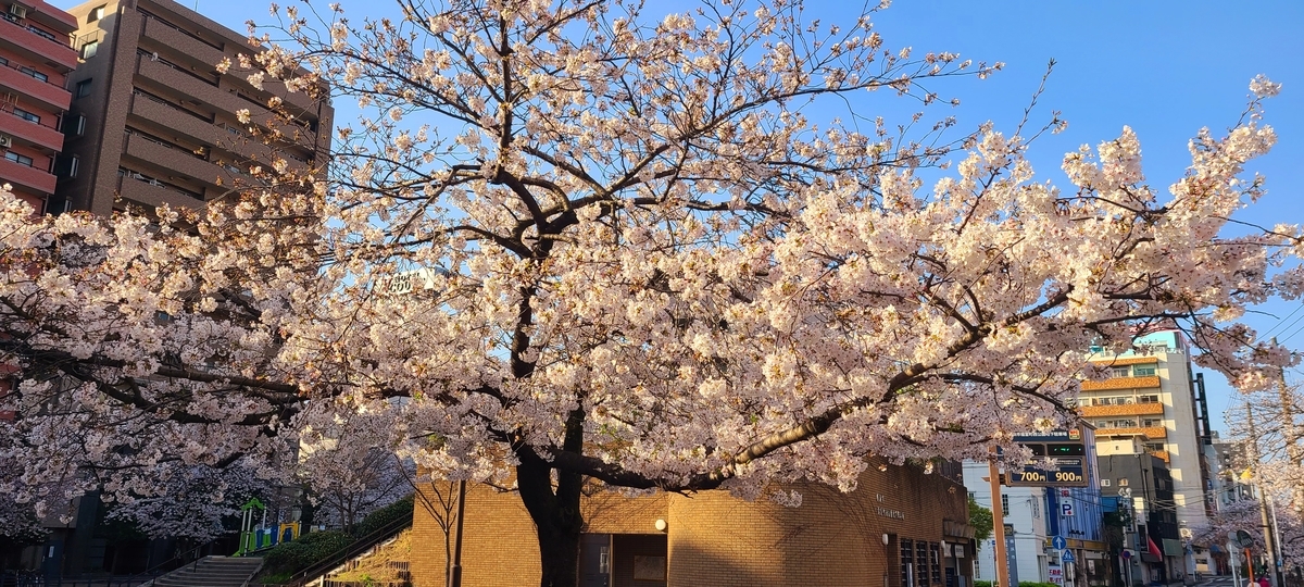 f:id:burakomi:20210404002645j:plain