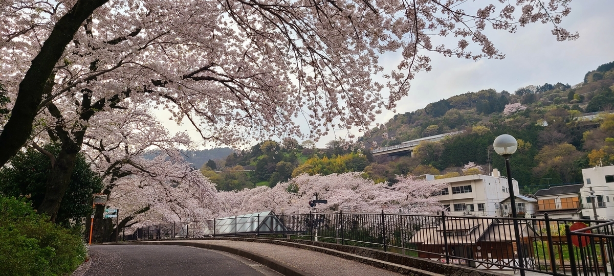 f:id:burakomi:20210404140650j:plain