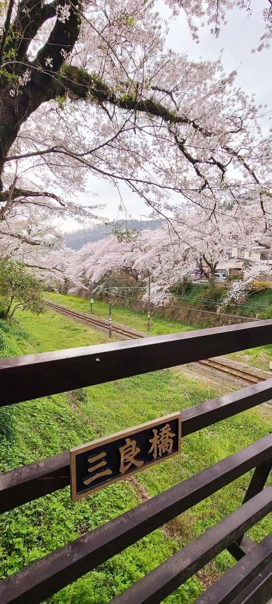 f:id:burakomi:20210404140800j:plain