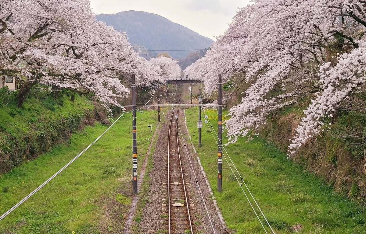 f:id:burakomi:20210404140856j:plain