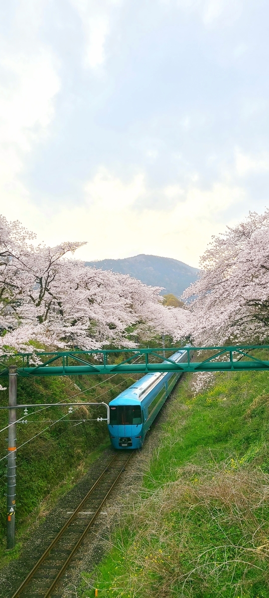 f:id:burakomi:20210404141126j:plain
