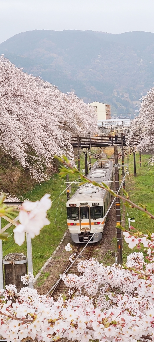 f:id:burakomi:20210404141244j:plain