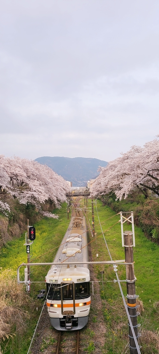 f:id:burakomi:20210404143052j:plain