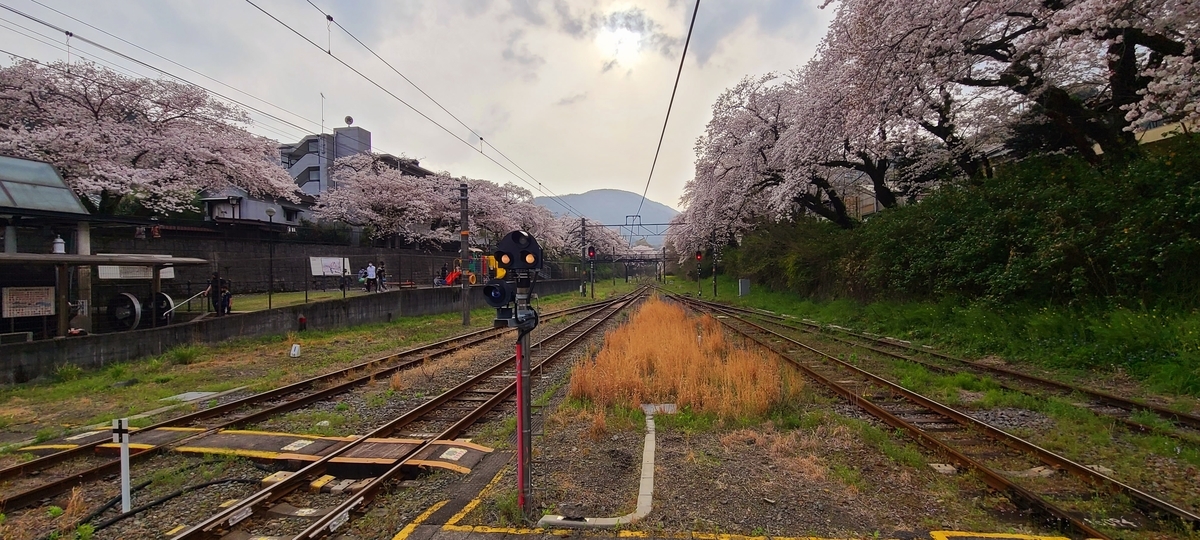 f:id:burakomi:20210404201740j:plain