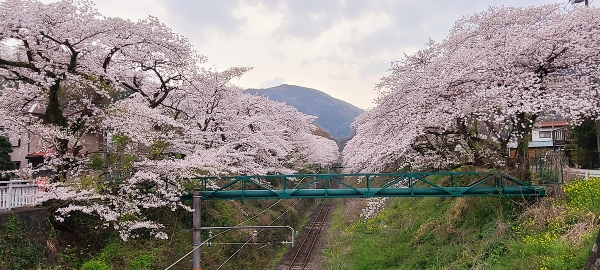 f:id:burakomi:20210404201806j:plain