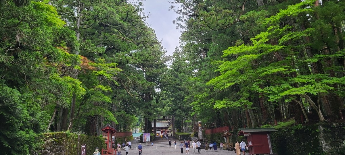 f:id:burakomi:20210606222016j:plain