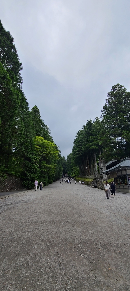 f:id:burakomi:20210606222314j:plain