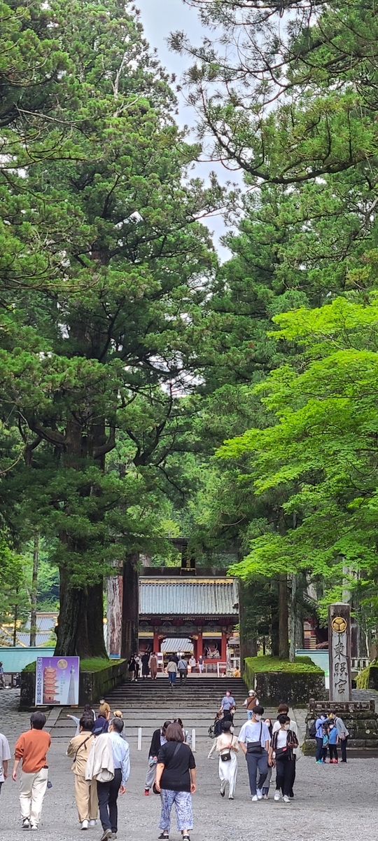 f:id:burakomi:20210606222508j:plain
