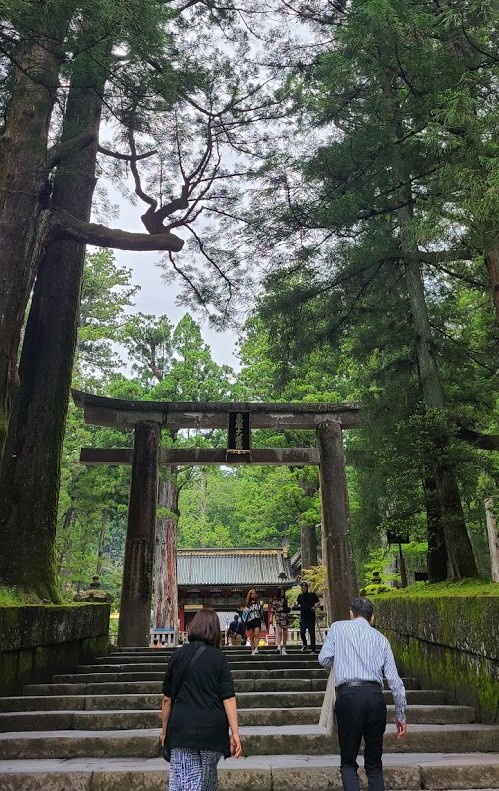 f:id:burakomi:20210607114345j:plain