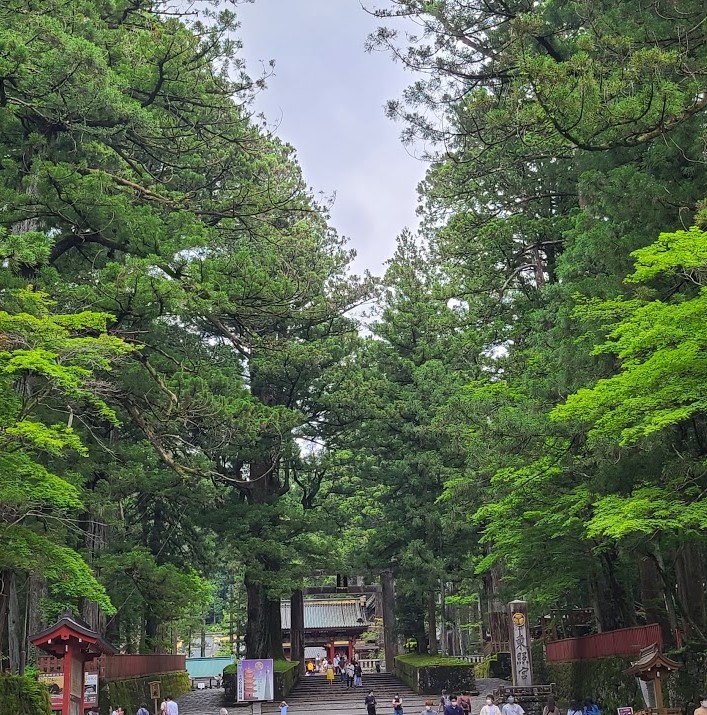 f:id:burakomi:20210607114851j:plain