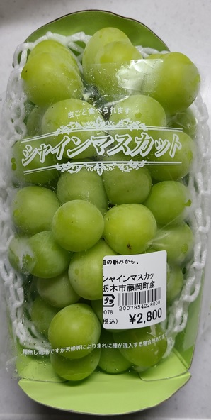 f:id:burakomi:20210815135729j:plain