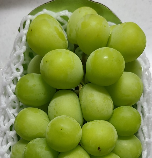 f:id:burakomi:20210815135833j:plain