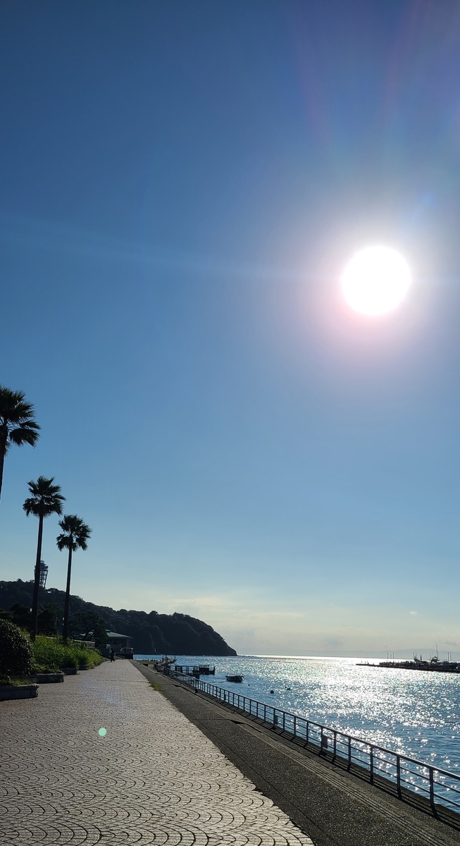 f:id:burakomi:20211016125016j:plain
