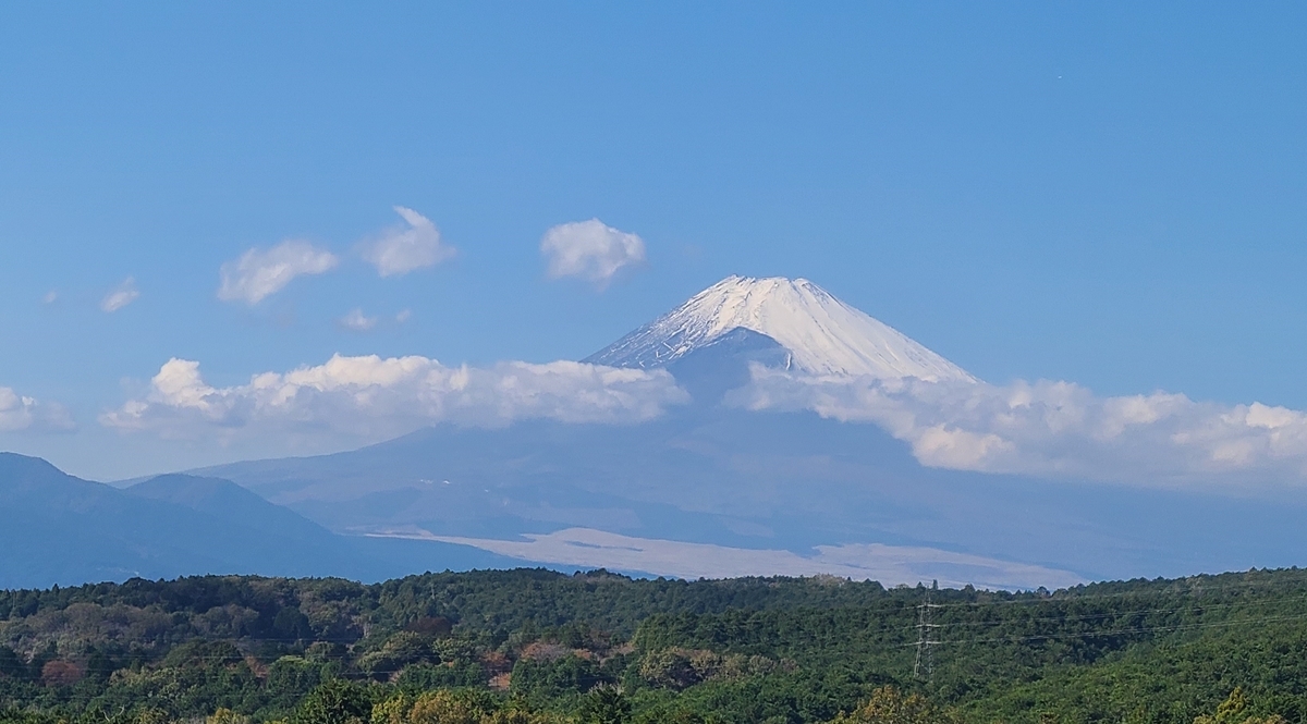 f:id:burakomi:20211031002254j:plain