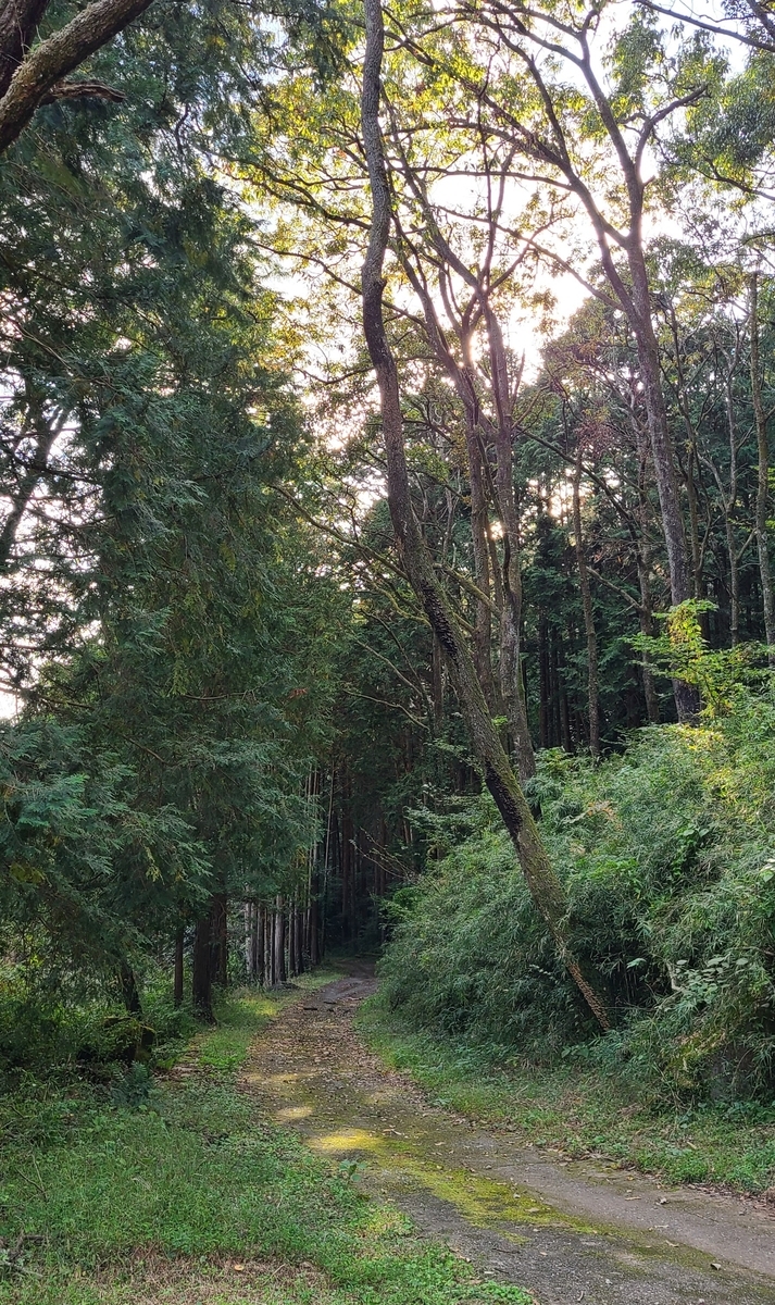 f:id:burakomi:20211031084013j:plain