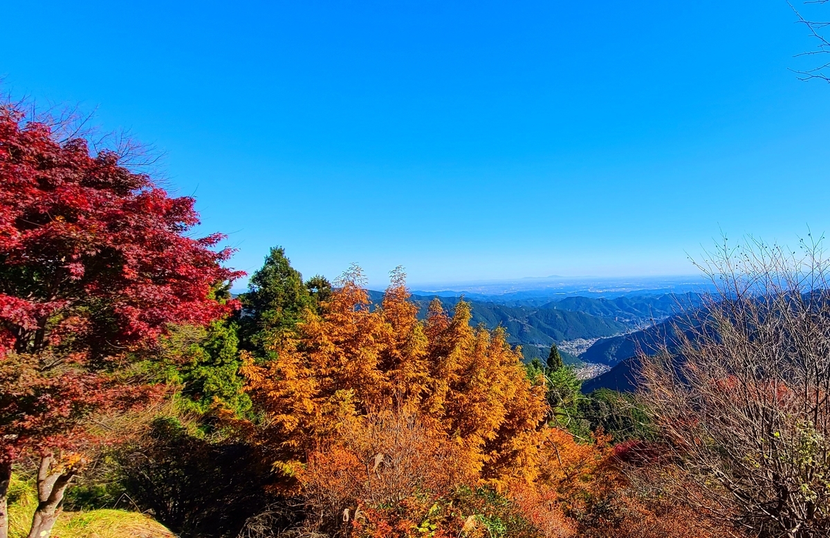 f:id:burakomi:20211114091358j:plain