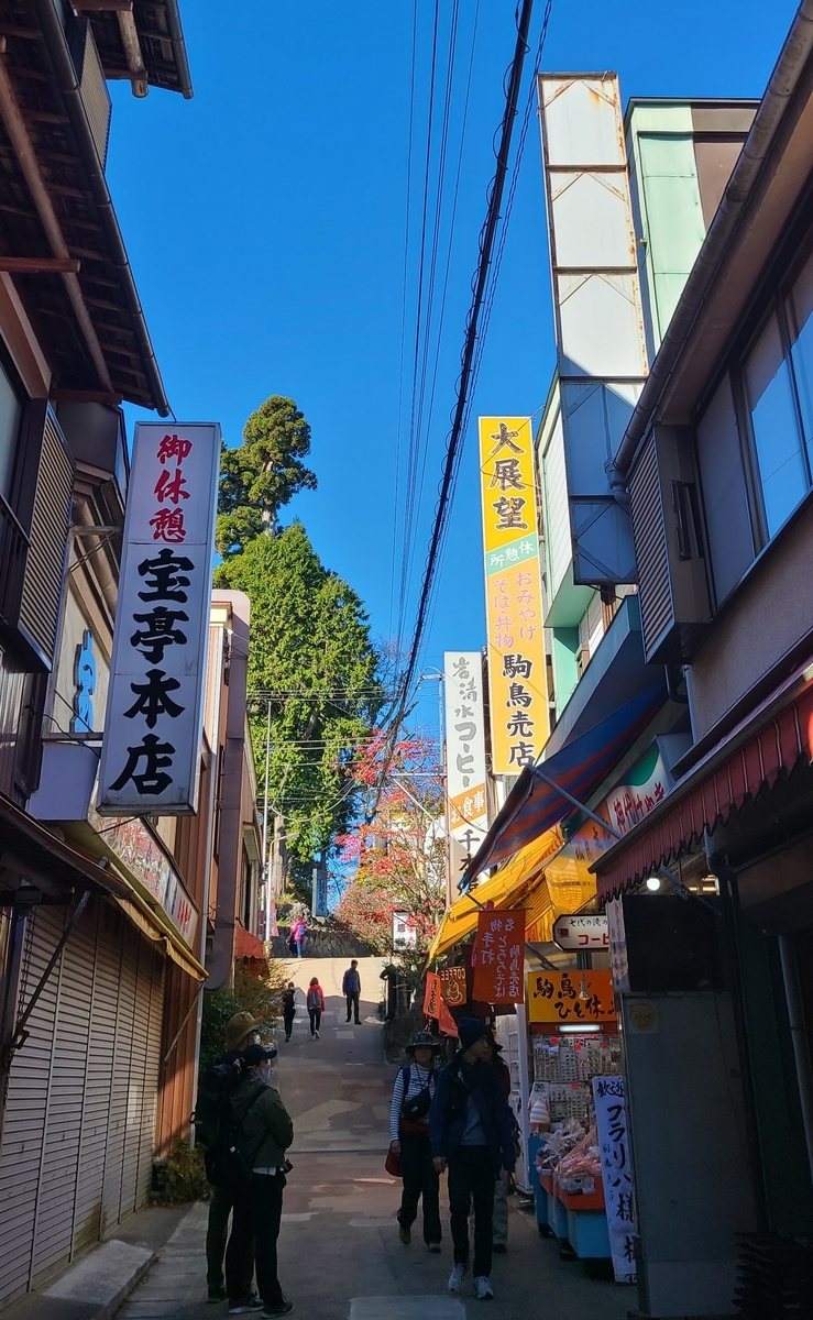 f:id:burakomi:20211114093952j:plain