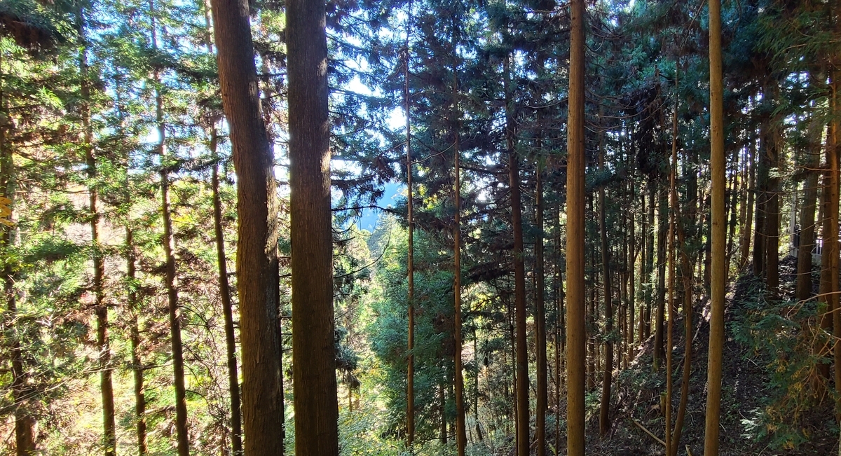 f:id:burakomi:20211114121333j:plain