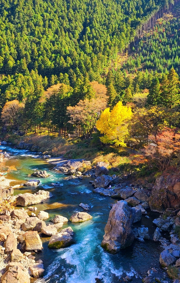 f:id:burakomi:20211114132839j:plain