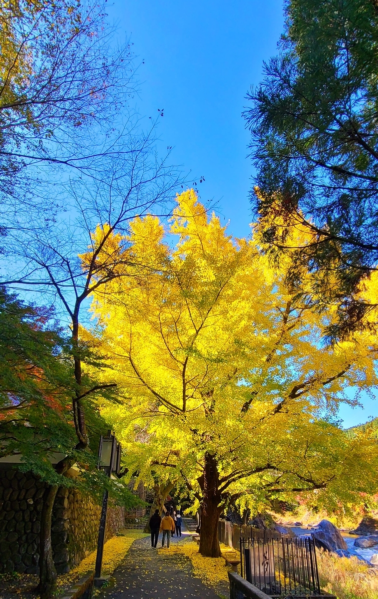 f:id:burakomi:20211114134341j:plain