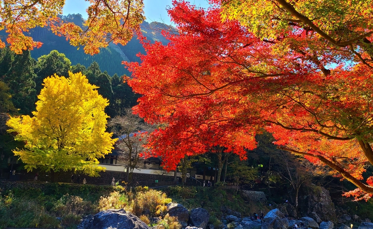 f:id:burakomi:20211114140150j:plain