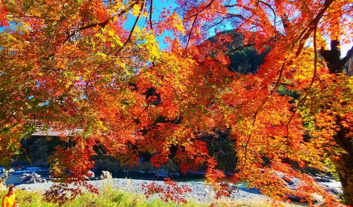 f:id:burakomi:20211114153111j:plain