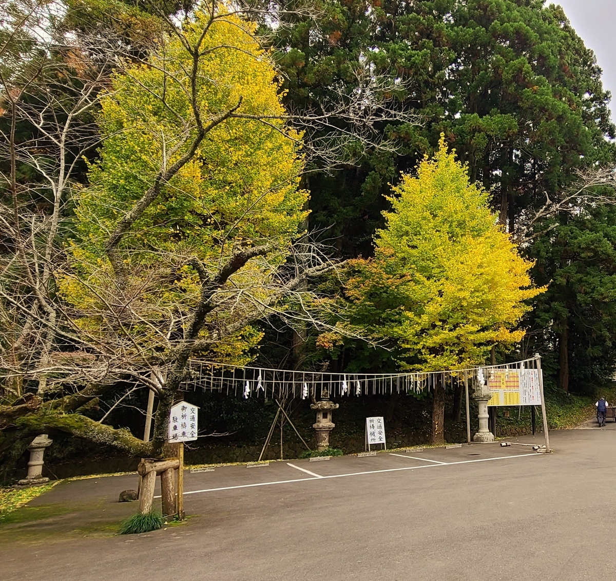 f:id:burakomi:20211123092320j:plain