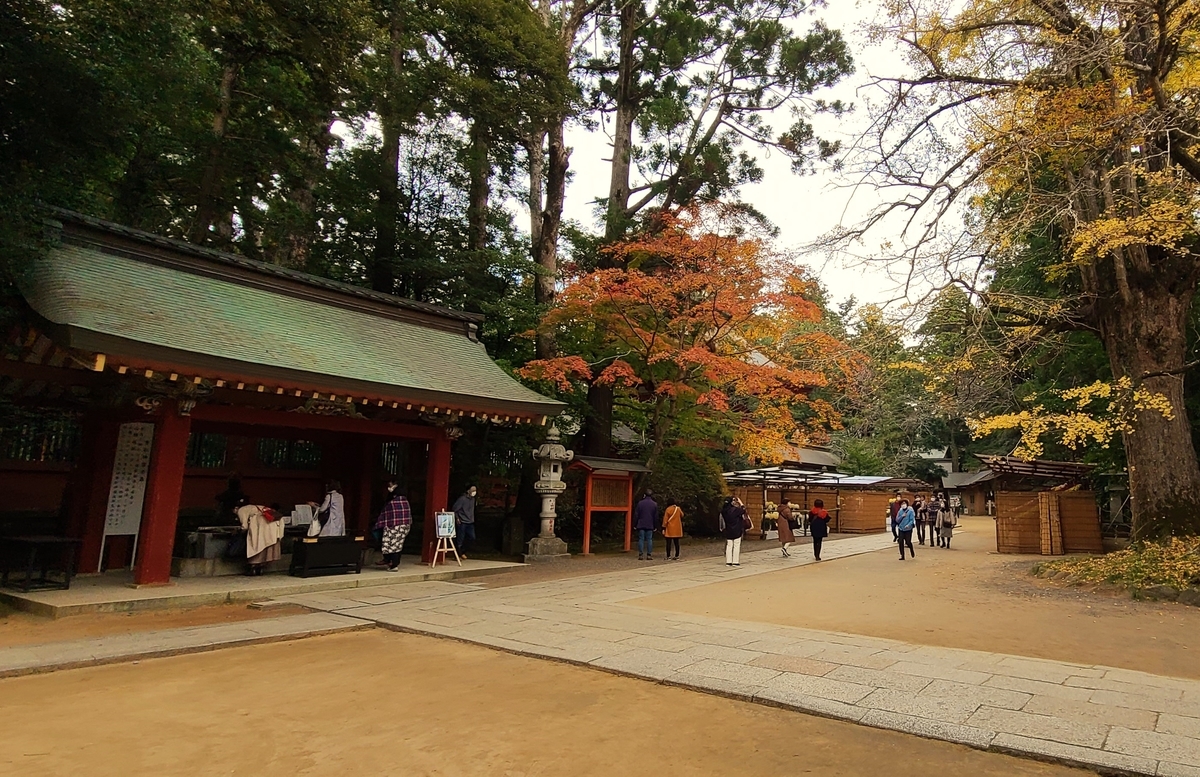 f:id:burakomi:20211123092643j:plain