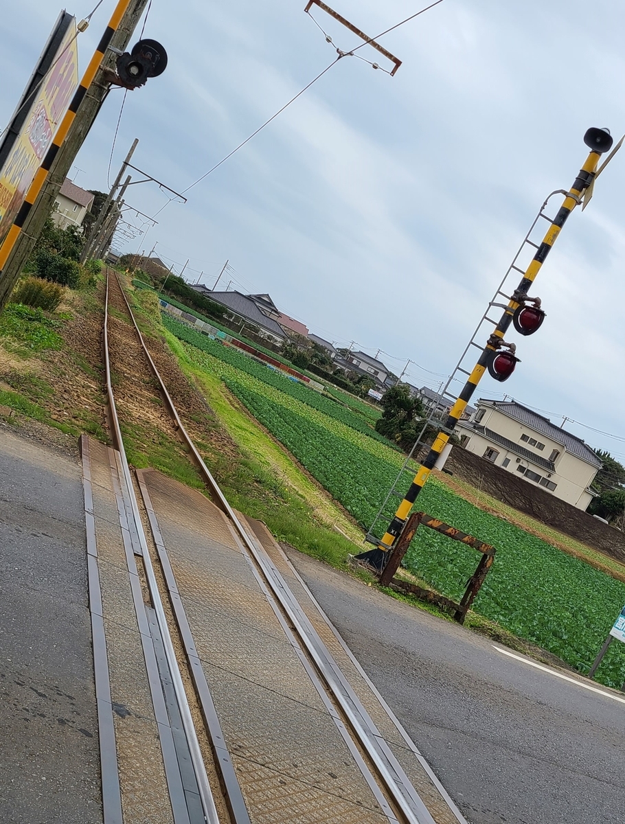 f:id:burakomi:20211123154439j:plain